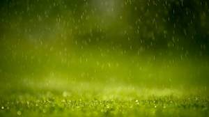 Обои капли дождя падают на зеленую траву на рабочий стол