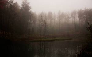 Обои мрачный лес в тумане возле озера на рабочий стол