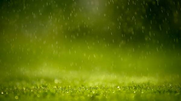 капли дождя падают на зеленую траву обои для рабочего стола