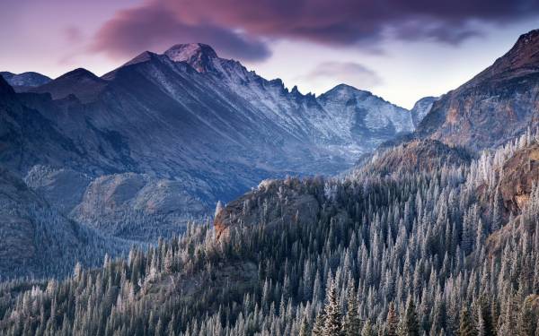 горы вокруг леса красивый парк Rocky Mountain обои для рабочего стола