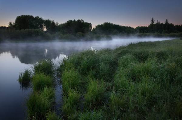 утренний туман над озером возле леса зеленая трава обои для рабочего стола