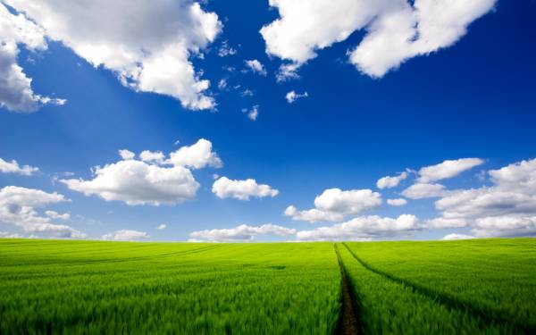 зеленое поле небо облака обои для рабочего стола