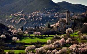 Обои Весна в Италии, горы, деревня, цветущие деревья на рабочий стол
