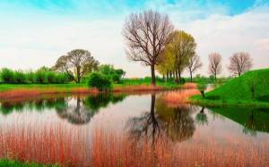Обои весенняя природа Англии, озеро, деревья, зелень на рабочий стол