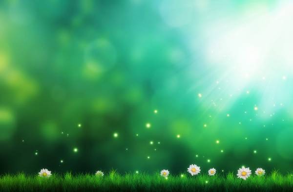 весна сказочная поляна трава цветочки свет обои для рабочего стола
