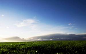 Обои зеленое летнее поле на горизонте неба облаков на рабочий стол