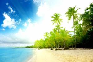 Обои необитаемый остров, лето, берег, пальмы, солнце на рабочий стол