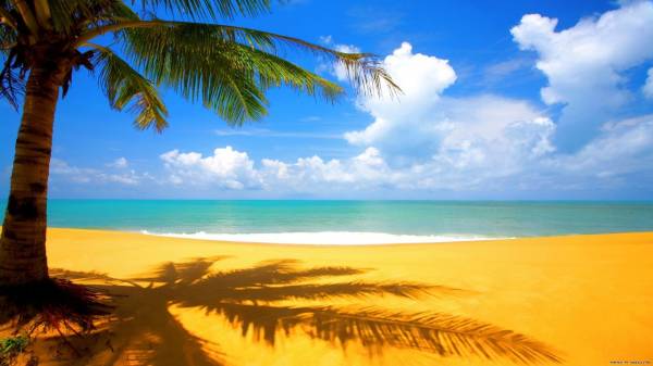 пляж песок пальма небо облака океан рай тень обои для рабочего стола