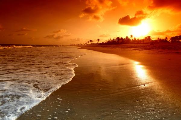 лето закат пляж море пальмы солнце отдых обои для рабочего стола