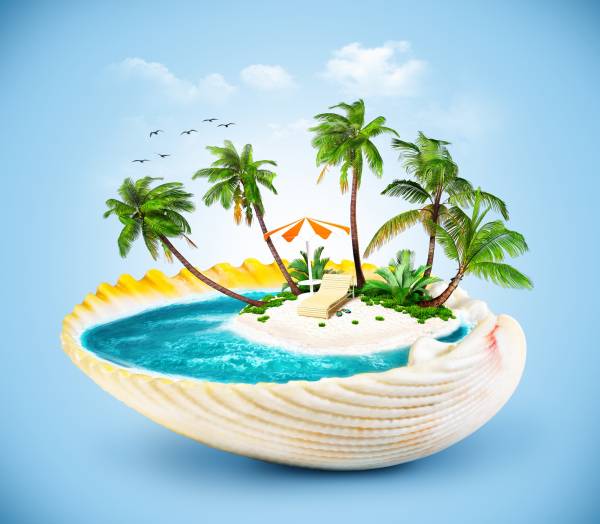 остров, пальмы, океан в ракушке обои для рабочего стола