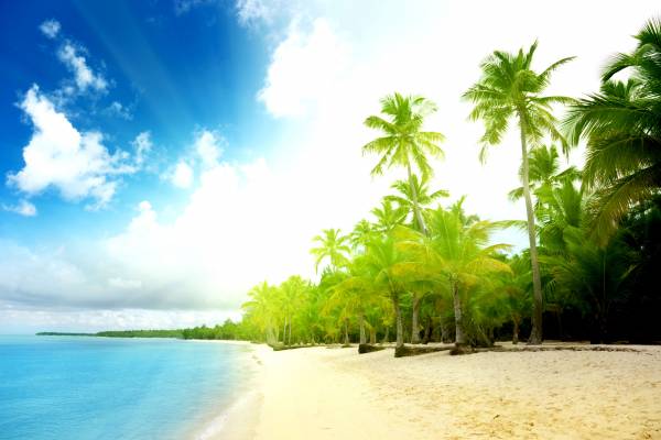 необитаемый остров, лето, берег, пальмы, солнце обои для рабочего стола