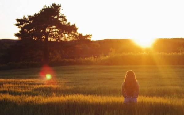 девушка в поле смотрит на закат солнца обои для рабочего стола