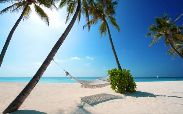 гамак между пальм экзотического острова на пляже обои для рабочего стола