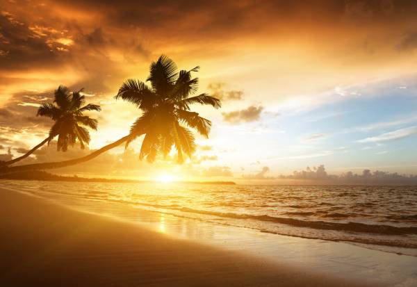 закат солнца пальмы море пляж экзотика обои для рабочего стола