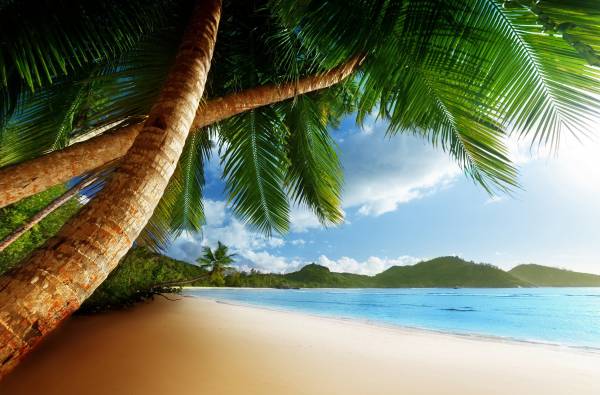 пальмы, пляж, берег, океан, отдых, остров, небо обои для рабочего стола