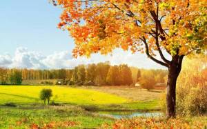Обои осень пейзаж красивая природа на рабочий стол