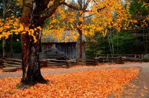 Обои старый деревянный дом, забор, осенние листья, лес на рабочий стол