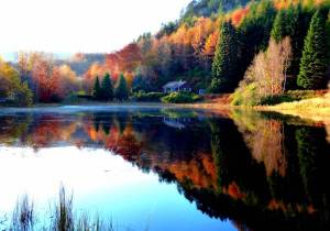 Обои осень, пейзаж, лес, отражение в озере, дом, природ на рабочий стол