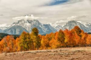 Обои золотые деревья осени, горы, скалы, поле, облака на рабочий стол