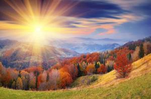 Обои яркое солнце, осень, лес, деревья, холмы, природа на рабочий стол