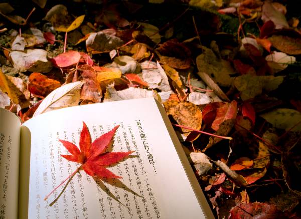 Японская книга на опавших осенних листьях обои для рабочего стола