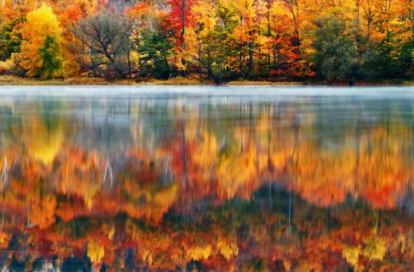 Осенние деревья отражаются на гладком озере обои для рабочего стола