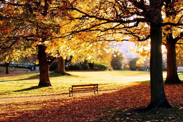 Парк, осень, желтые листья, лавочка, деревья обои для рабочего стола