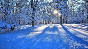 Обои зимний лес, снег на деревьях, сугробы, лучи солнца на рабочий стол