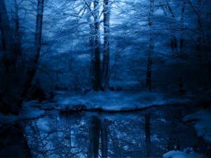Обои темный зимний лес ночью возле воды на рабочий стол