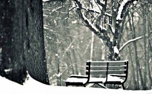 Обои зима, скамейка, парк, черно-белое фото, деревья на рабочий стол
