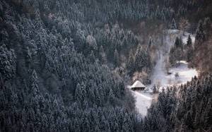 Обои дом в глубине леса зимой на рабочий стол