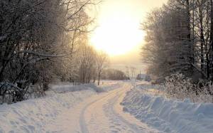 Обои снежная дорога вдоль посадки вид солнечного неба на рабочий стол