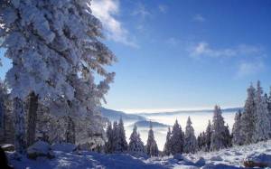 Обои зима деревья окутанные снегом и холмы в тумане на рабочий стол