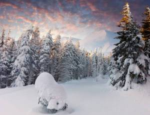 Обои зима, сугробы, деревья в снегу, елки, горы на рабочий стол