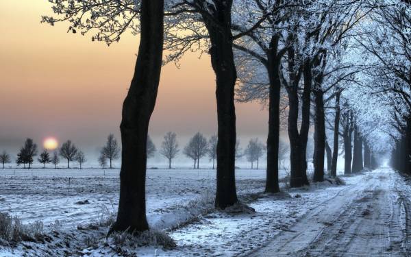 зима алея из деревьев дорога поле закат снег обои для рабочего стола