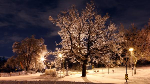 заснеженная улица ночь зима фонари деревья в снегу обои для рабочего стола