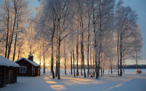 два домика в снегу заснеженные деревья зима солнце обои для рабочего стола