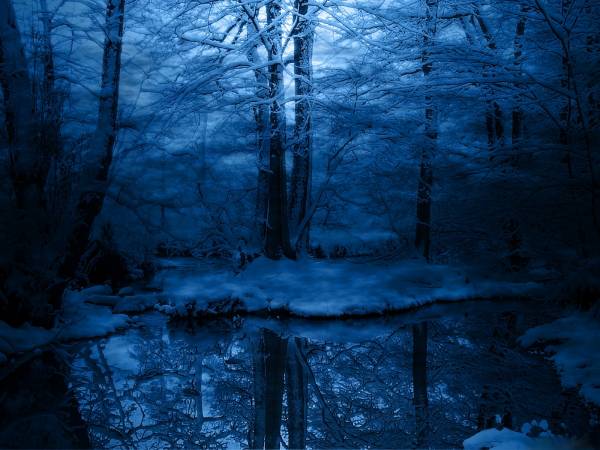 темный зимний лес ночью возле воды обои для рабочего стола