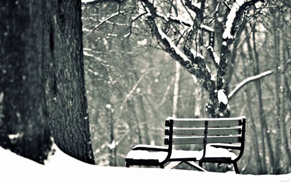 зима, скамейка, парк, черно-белое фото, деревья обои для рабочего стола