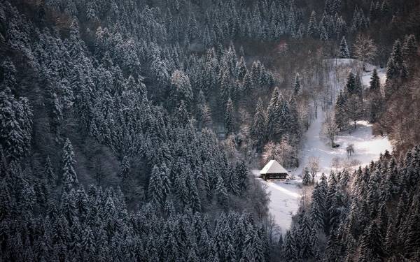 дом в глубине леса зимой обои для рабочего стола
