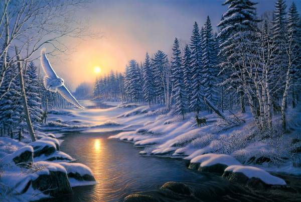 красивый зимний пейзаж в лесу на закате обои для рабочего стола