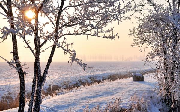 морозная зима, поле в снегу, солнце, туман обои для рабочего стола