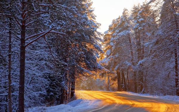 зима, снег, дорога через лес, вечер, закат обои для рабочего стола