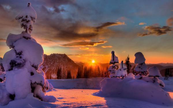 деревья в снегу, закат солнца, зима, горы, облака обои для рабочего стола
