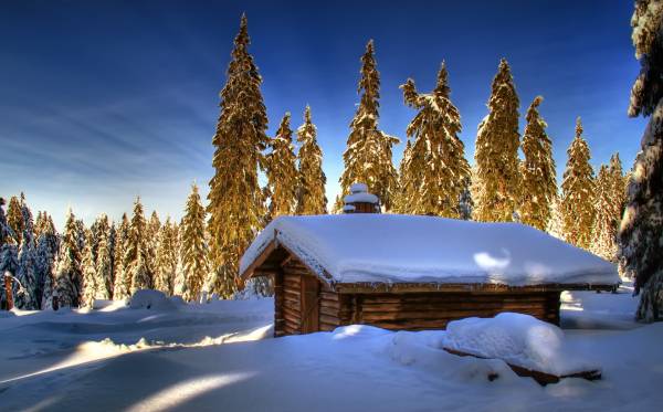 избушка засыпанная снегом морозной зимой в лесу обои для рабочего стола