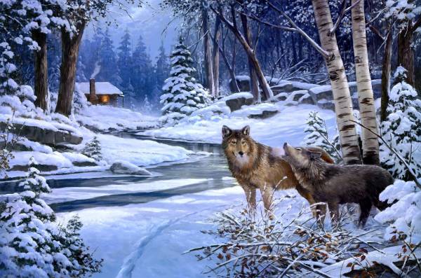 два волка домик в лесу снег зима ночь обои для рабочего стола