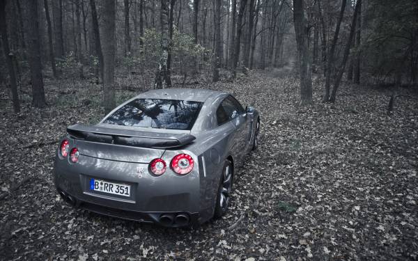 серый Nissan GTR (вид сзади) в мрачном лесу обои для рабочего стола