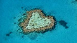 Обои коралловый риф в форме сердца с высоты на рабочий стол