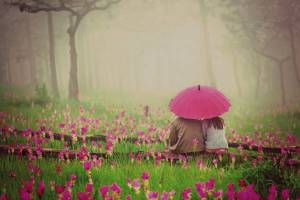 Обои влюбленная пара сидит под зонтиков среди цветов на рабочий стол