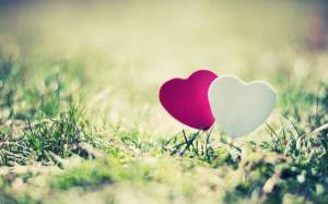 Обои два разноцветных сердца на траве на рабочий стол